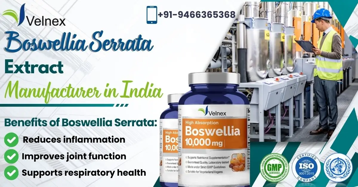 Understanding Boswellia Serrata Extract and Its Applications