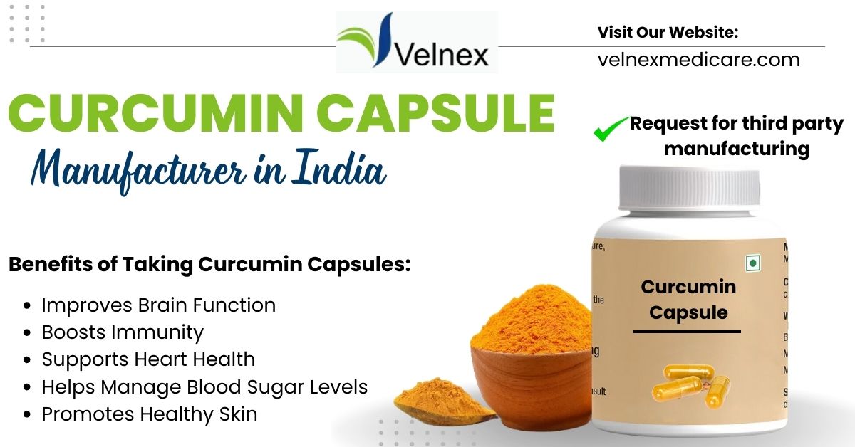 Understanding the Curcumin Capsule Supply Chain Dynamics