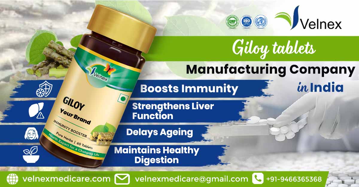 Understanding the Manufacturing Process of Giloy Tablets