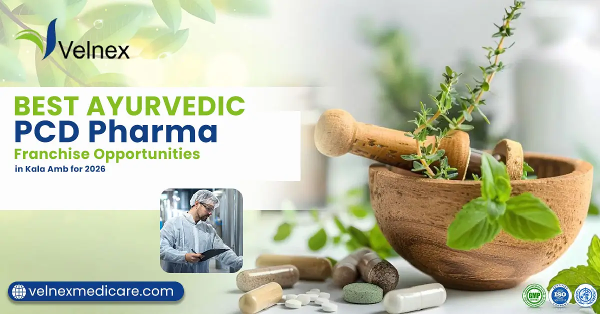 Best Ayurvedic PCD Pharma Franchise Opportunities in Kala Amb for 2026